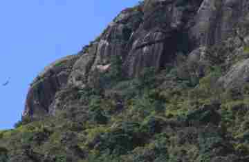  Temporada de montanhas no Paraná: veja dicas para garantir um passeio seguro 